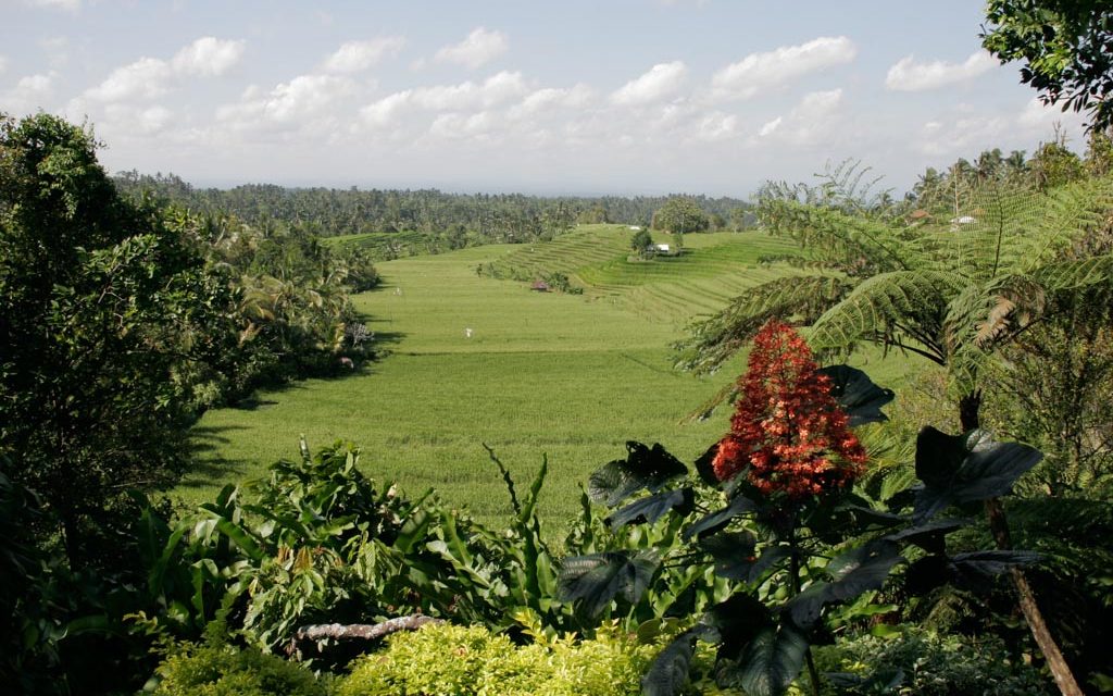 Bali, Toute la beauté du monde ?