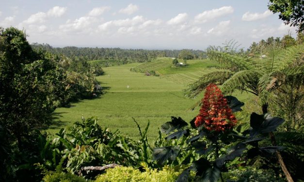 Bali, Toute la beauté du monde ?