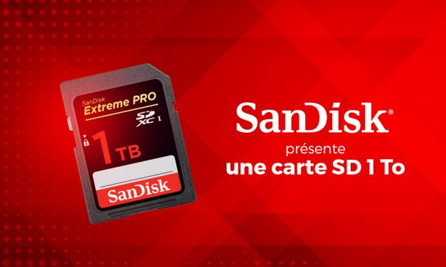 Quelle carte SD choisir pour ses voyages ?