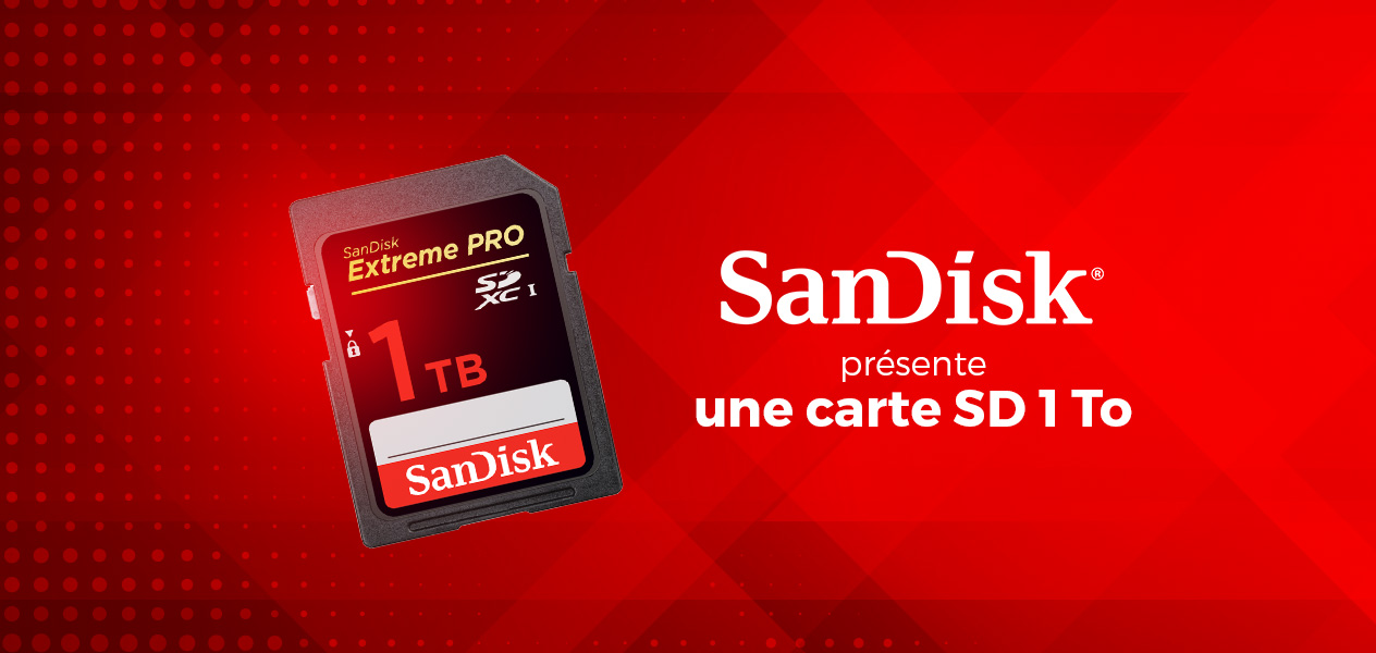 Quelle carte SD choisir pour ses voyages ?