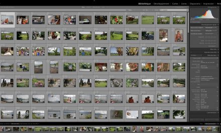 Archiver ses photos de voyage : les solutions