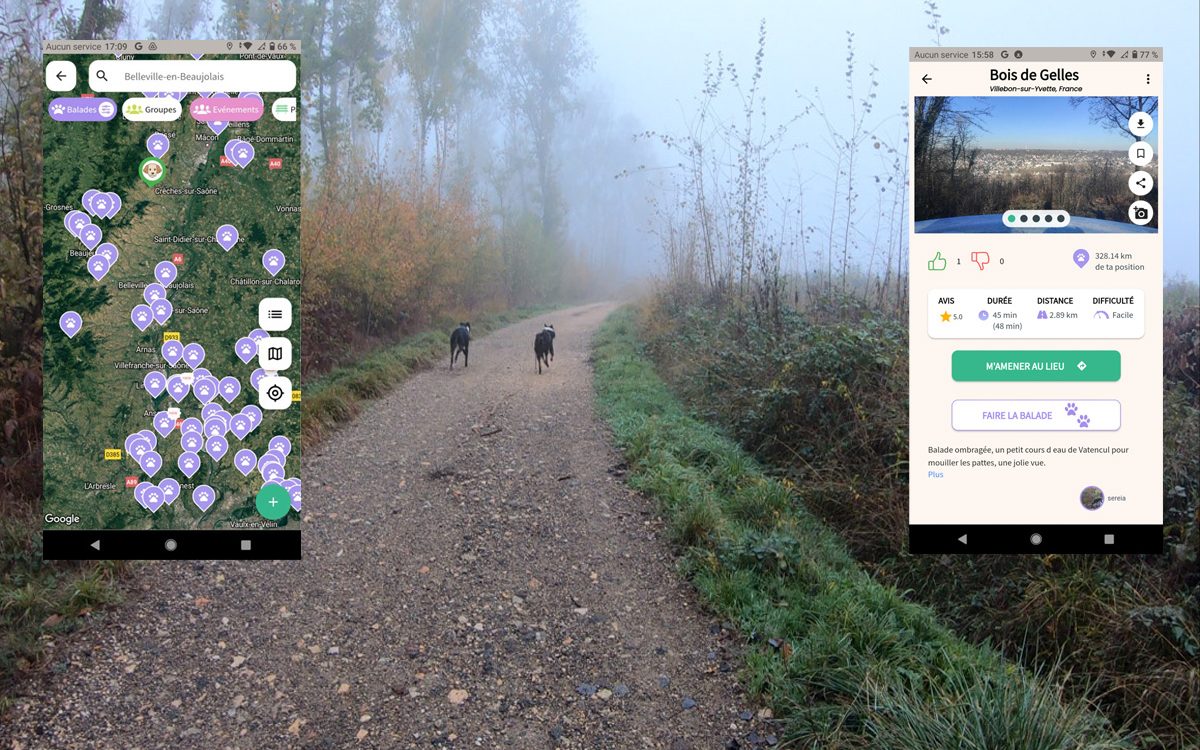 J’ai testé l’application pour balades de chiens « Play-Dogs »