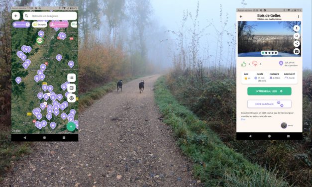 J’ai testé l’application pour balades de chiens « Play-Dogs »