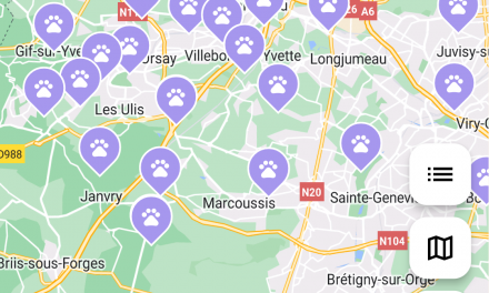 Test de l’application pour chiens Play-dogs