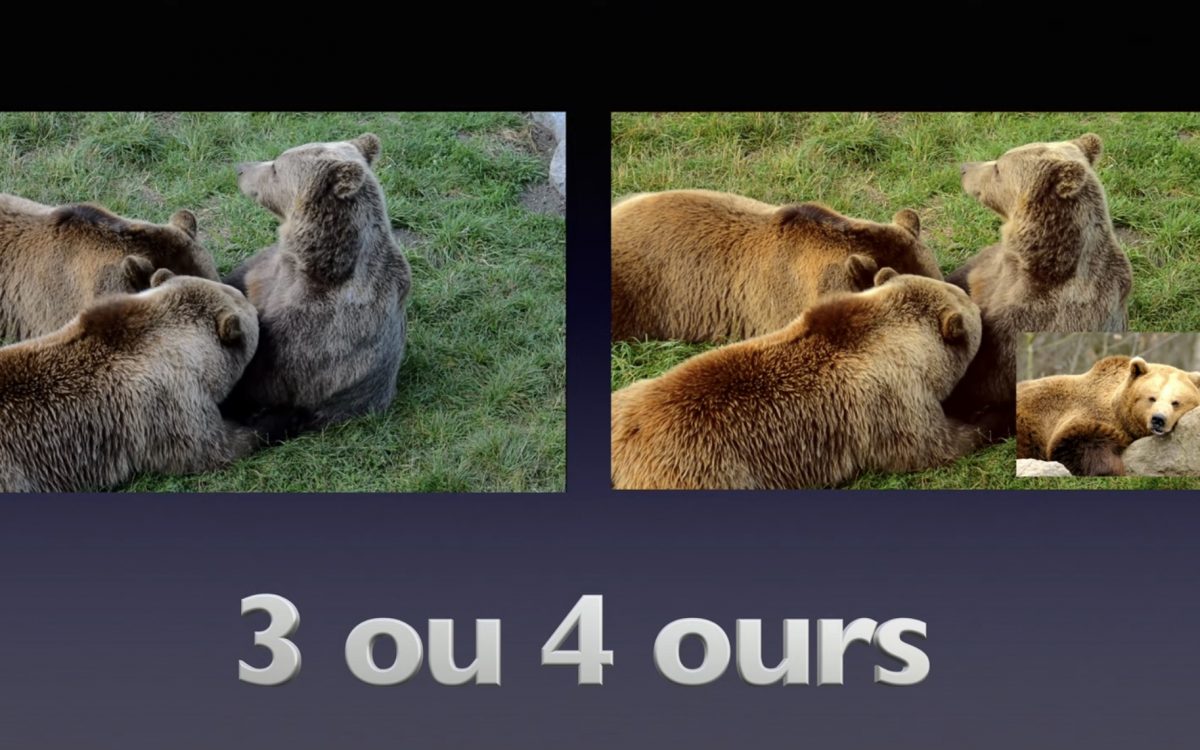 Tutoriel La technique de l’Ours au montage