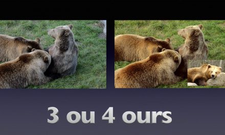 Tutoriel La technique de l’Ours au montage