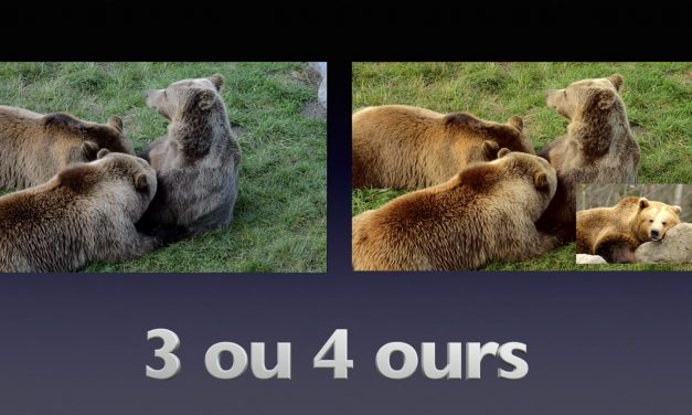 Tutoriel La technique de l’Ours au montage